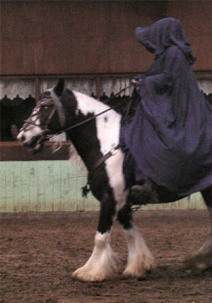 17-04ronazgul.jpg