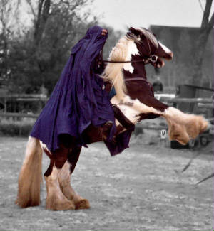 Ton-blizzsteiger.jpg