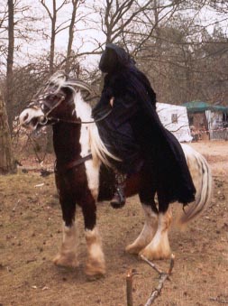 04-03nazgulpaardsteiger.jpg