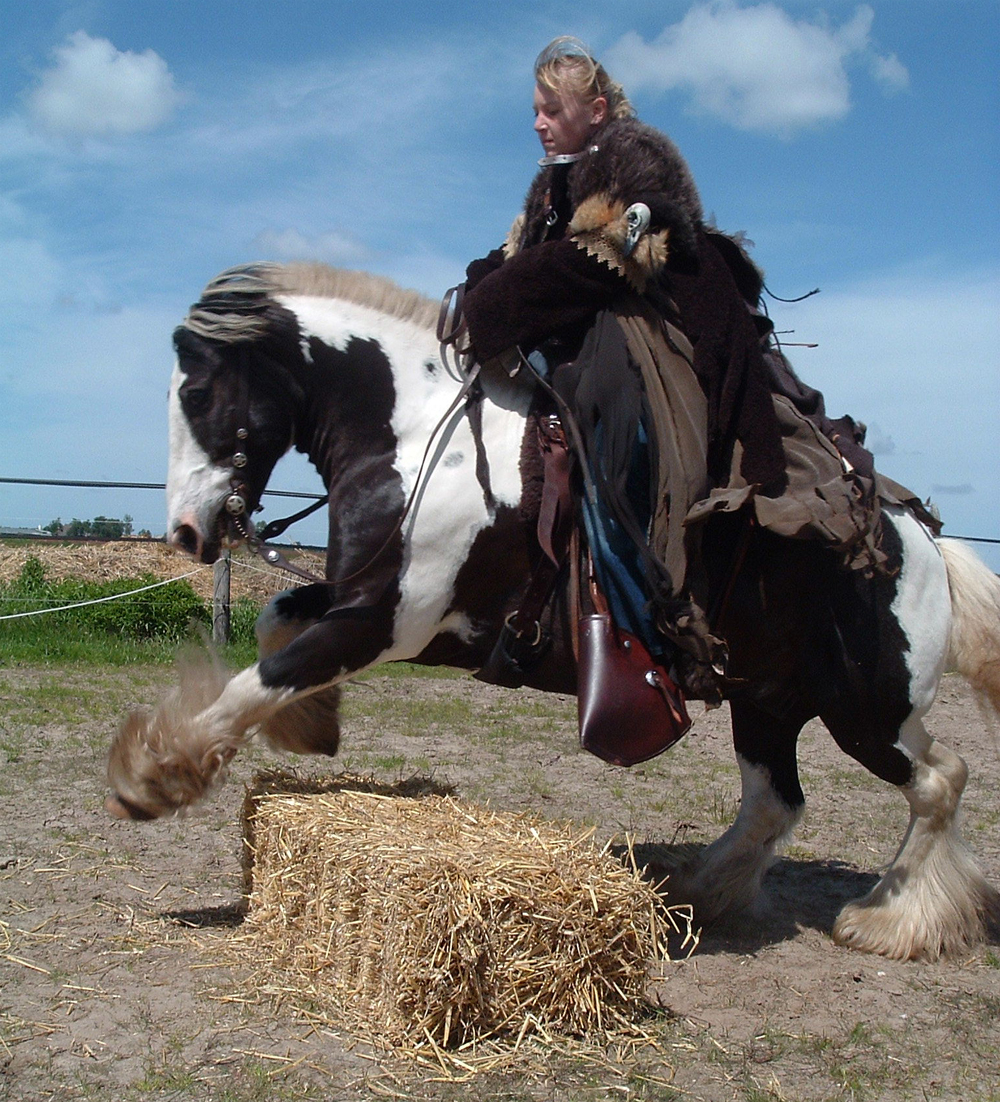 06-06sprongstrobaal1000.jpg