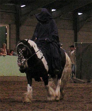 17-04ronazguldteugel.jpg