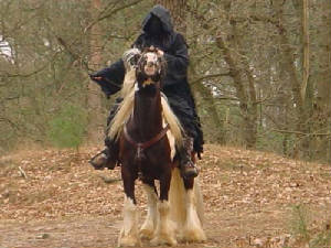 lotrhoofdomhoog.jpg.w300h225.jpg
